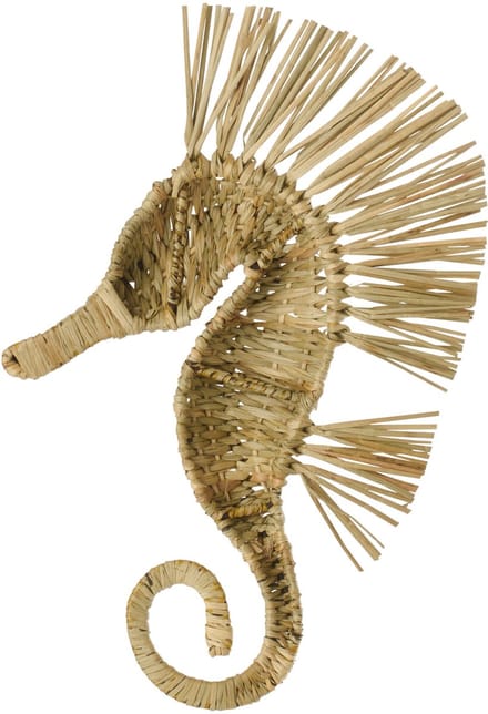 J-Line wanddecoratie Zeepaard - gras - naturel - small