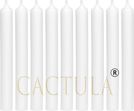 Cactula mooie dinerkaarsen 19.5 cm Wit 18 stuks | 6 branduren