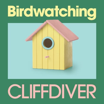 Birdwatchin - Cliffdiver