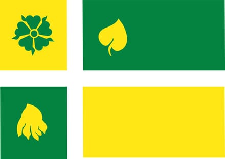 Vlag Hof van Twente 120x180cm