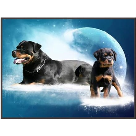 5D Strass Borduur Schilderen DIY Strass Schilderen Decoratieve Schilderijen voor Thuis blue