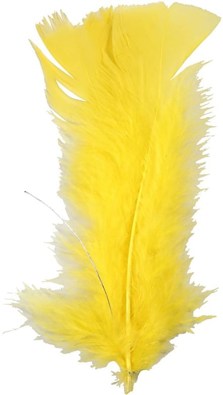 Veren, L: 11-17 cm, geel, 18 bol/ 1 doos