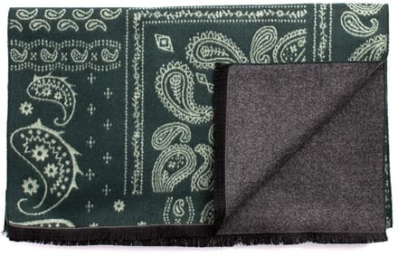 DESIDERIO Viscose scarf with paisley patchwork Green (TRSCIE218 - 900)