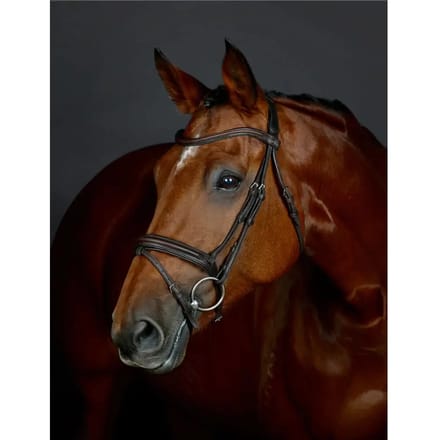 Flash hanoveraanse dressuurteugel met padding Collegiate Comfitec Opulux