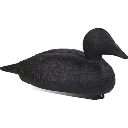 Eiderankers Stepland (x12)
