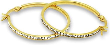 Amanto Oorbellen Davion Gold Large - 316L Staal - 2mm -Ø30mm
