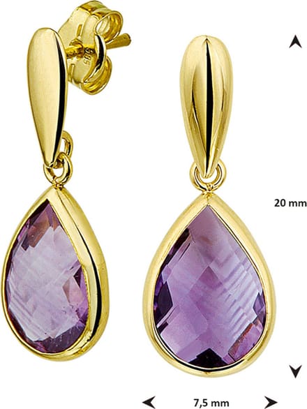 Geelgouden Oorhangers amethyst 4017176