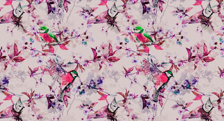 Behang walls by patel songbirds 1