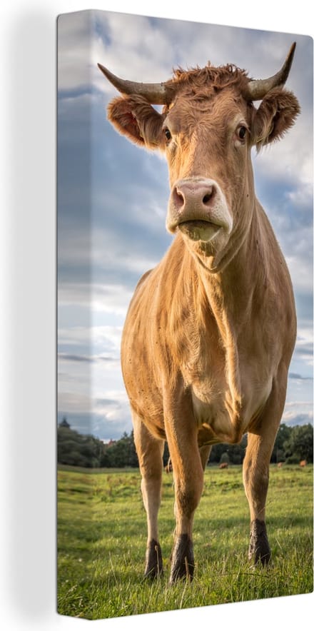 Canvas Schilderij Koe - Bruin - Natuur - 80x160 cm - Wanddecoratie