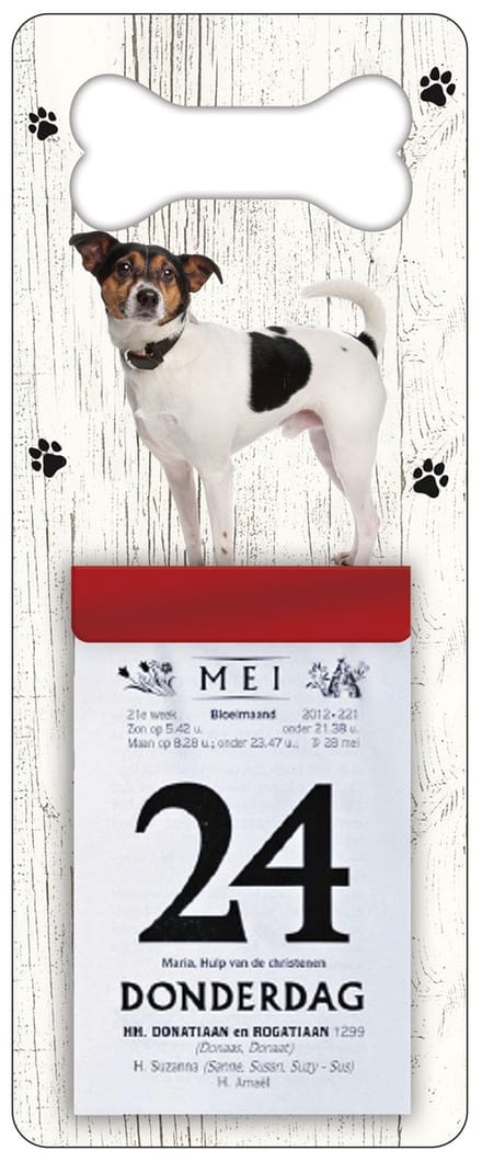 Scheurkalender 2027 Hond: Boerenfox