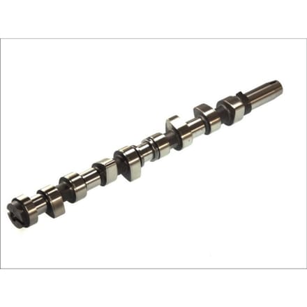 Nokkenas  AE CAM376