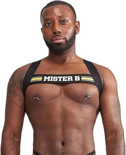 Mister B Urban Club harnas X-back Gestreept Geel