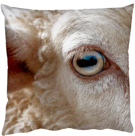 Sierkussens - Kussentjes Woonkamer - 40x40 cm - Schaap - Oog - Wit