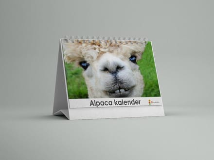 Alpaca Bureau-verjaardagskalender | Alpaca bureaukalender |Alpaca kalender 20x12.5 cm