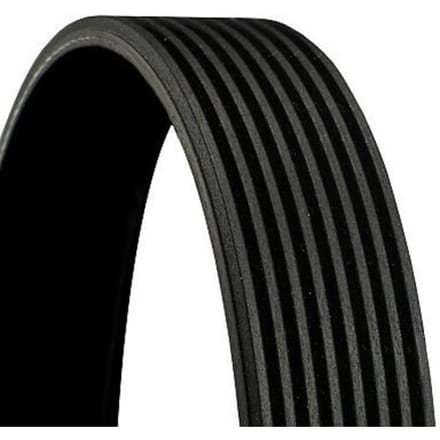 V-ribbelriem Continental CTAM 8PK1646