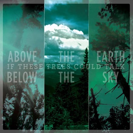 If These Trees Could Talk - Above The Earth, Below The Sky (LP) (Reissue)