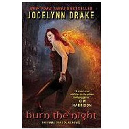 Burn The Night - Jocelynn Drake