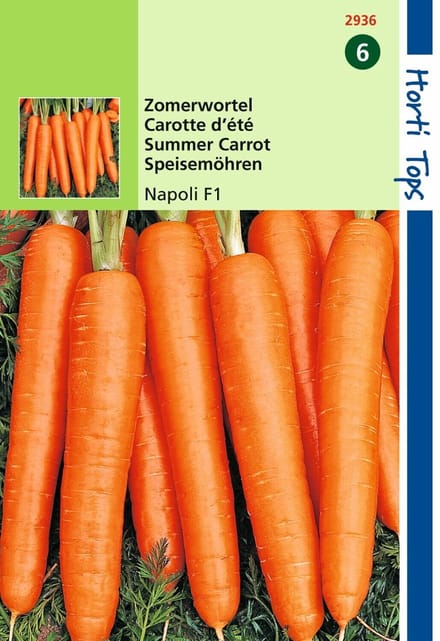 2 stuks - Hortitops - HT Wortelen Napoli F1