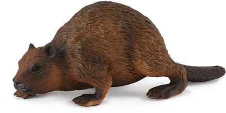 COLLECTA Figurine - Bever - (M) - Bosdieren - Handgeschilderd - Miniatuur