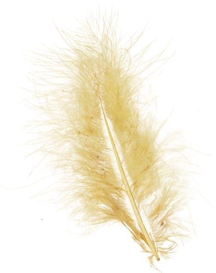 Echte veren voor knutselprojecten in lichtgeel, 5-10 cm, 20 g