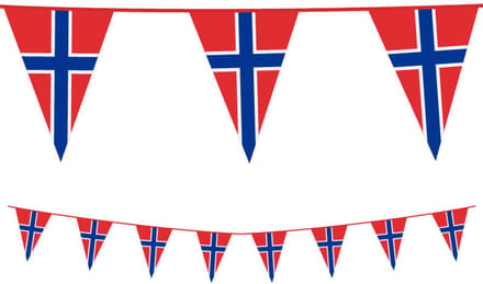PE vlaggenlijn slinger Noorwegen - Norge, lengte 10 meter