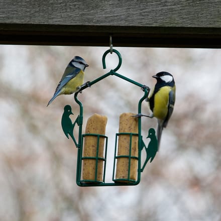 CJ Wildlife - Energierolhanger - Groen - Vogelvoederplek