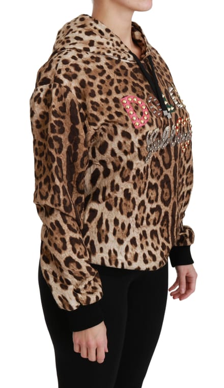 Dolce & Gabbana Vrouwen Trui met Bruine Kap en Studded Ayers Leopard