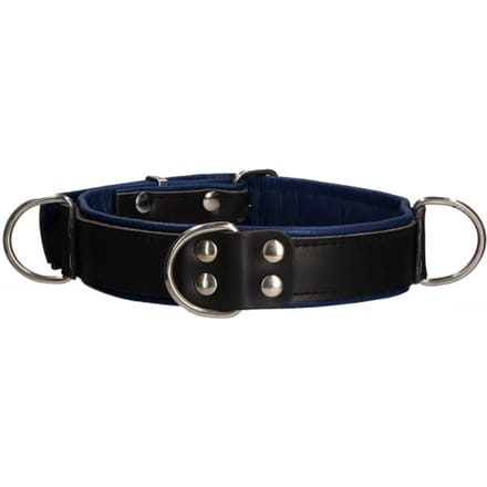 Deluxe Bondage Collar - Premium Leather - Black/Blue