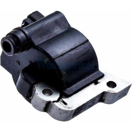 Ignition module