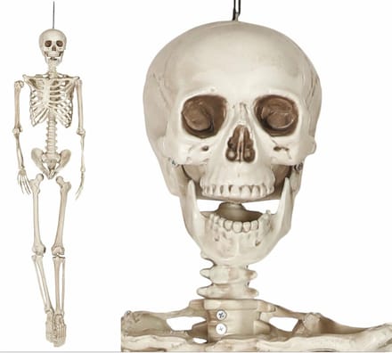 Fiestas Guirca Decoratie skelet pop realistisch - Halloween/horror versiering - hangend - 160 cm