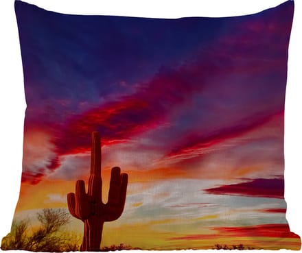 Tuinkussen - Cactus - Lucht - Zonsondergang - Paars - Roze - 40x40 cm - Weerbestendig