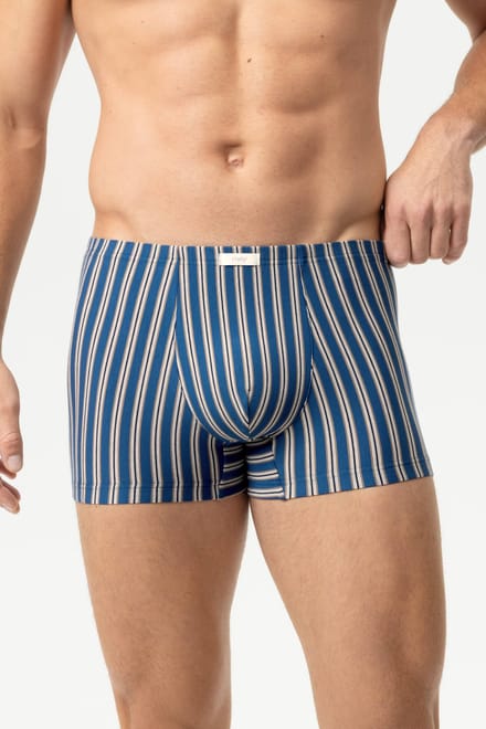 Shorty Serie Stream Stripes Blue Stream