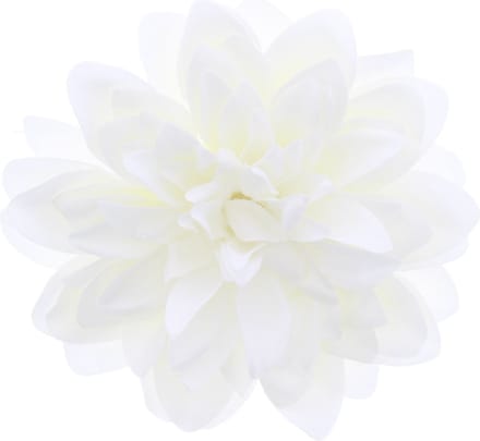Zac's Alter Ego - Large chrysanthemum Haarbloem - Wit