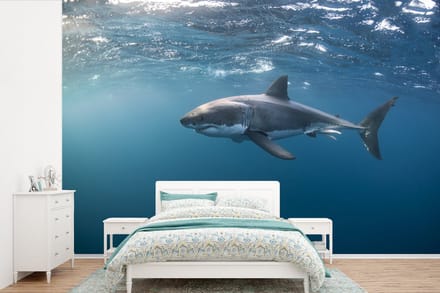 Behang - Fotobehang Grote witte haai - Breedte 450 cm x hoogte 300 cm