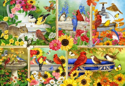 Bluebird Puzzle legpuzzel Feathers and Company - 1000 stukjes.