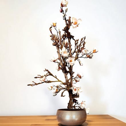 Seta Fiori - Magnolia boom - kunstboom - 120cm hoog