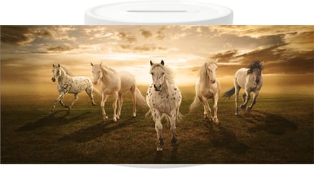 Spaarpot - Paarden Appaloosa