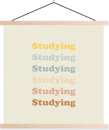 Posterhanger incl. Poster 60x60 cm - Schoolplaat - Studeer - Leren - Quotes - Studenten - Study - Textielposter - Blanke latten