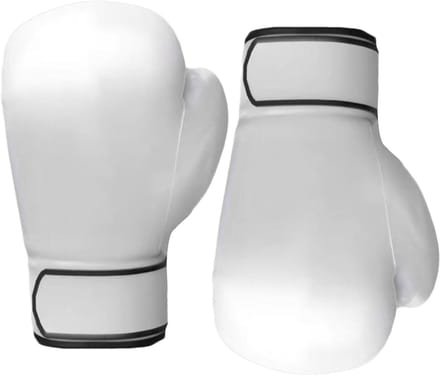 Bokshandschoenen - Trainingshandschoenen - Krachtige Training - Versterkte Stiksels - 10 oz - Wit