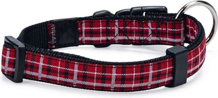 Collar tartan m 45-55 cm 20 mm