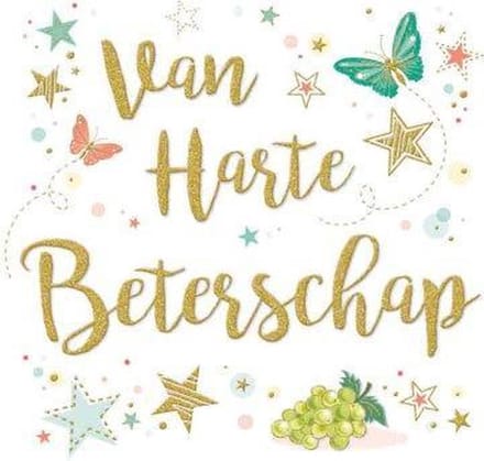 Wenskaart Beterschap Zizi xl
