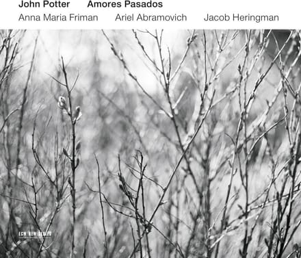 John Potter - Amores Pasados (CD)