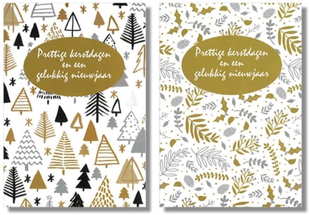 MGPcards - 10 Dubbele wenskaarten - Kerstkaarten / Nieuwjaar - Witte envelop - 10 x 14 cm - 2 Motieven per doosje
