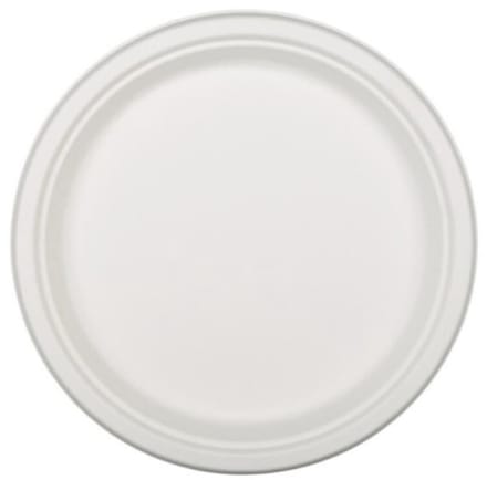 XL Borden – Suikerriet Bagasse – 26 cm – 20 stuks