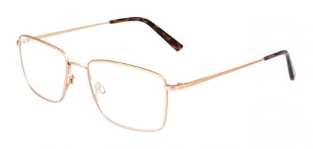 Flexon FLEXON H6081 Matte taupe 58/18/150 MAN Brilmonturen