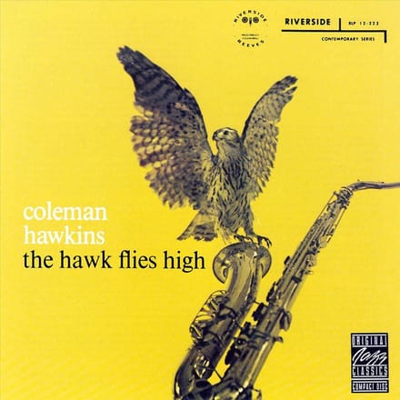 Hawk Flies High