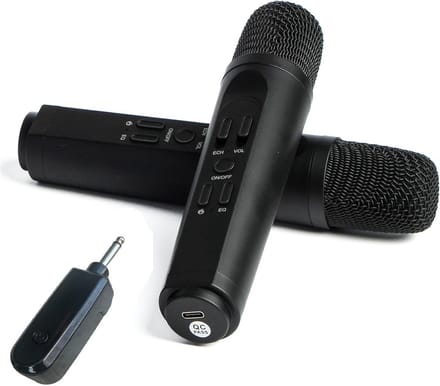 Draadloos Dubbel Microfoon Systeem voor Karaoke - 2 Handmicrofoons met USB Ontvanger