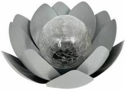 GALIX Zonnewaterlelie - 25 cm