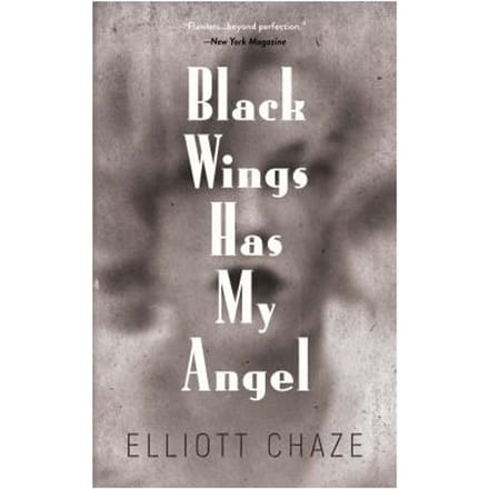 Black Wings Has My Angel - Elliott Chaze