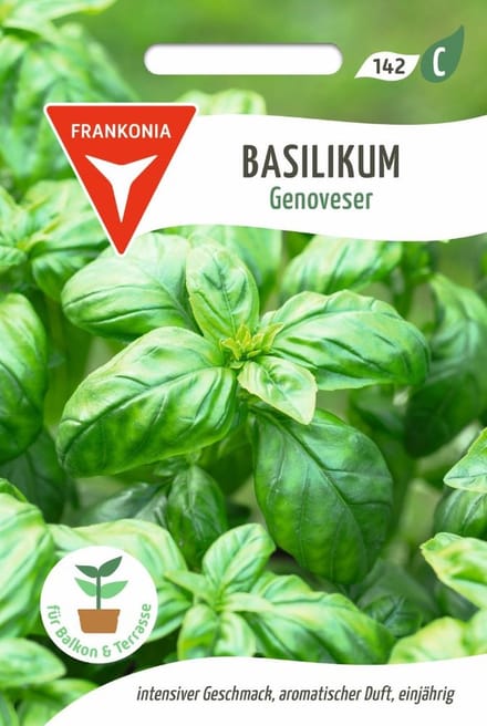 Genovese basilicum - basilicumzaden, kruidenzaden, specerijenzaden